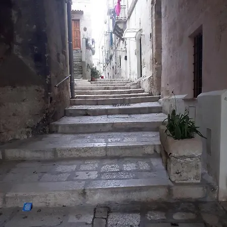 La Rosa Dei Sassi 2 Matera
